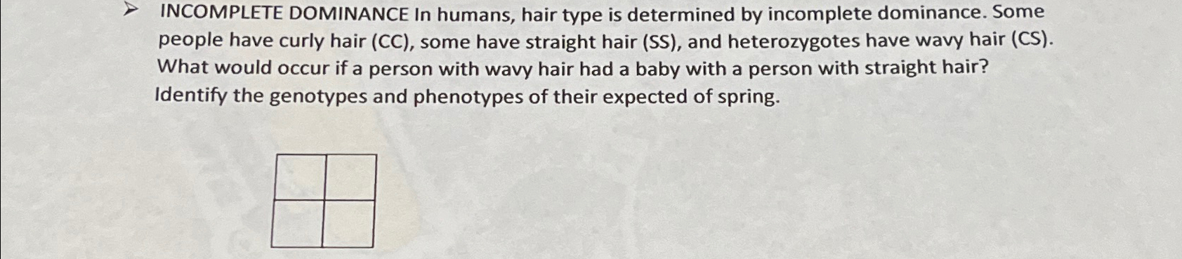 Solved INCOMPLETE DOMINANCE In humans, hair type is | Chegg.com