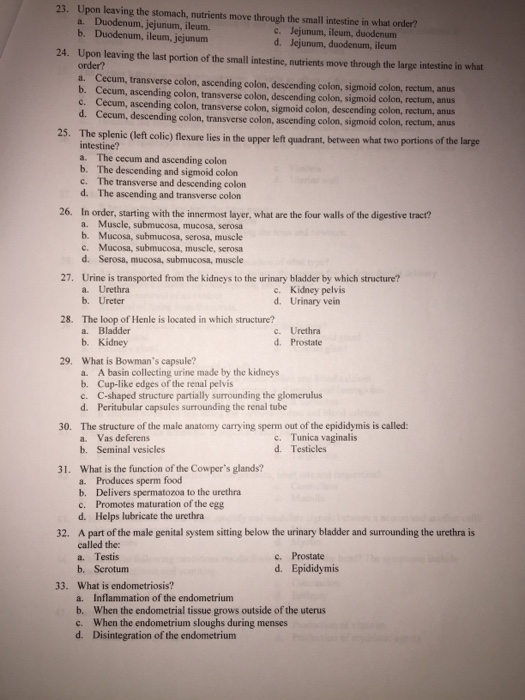 Solved Chapter 02: Anatomy Review MULTIPLE CHOICE 1. Which | Chegg.com