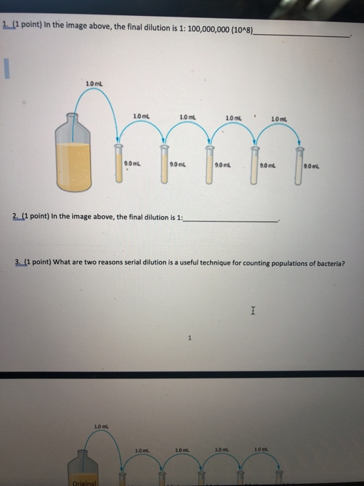 1 1 Point In The Image Above The Final Dilution Is Chegg Com