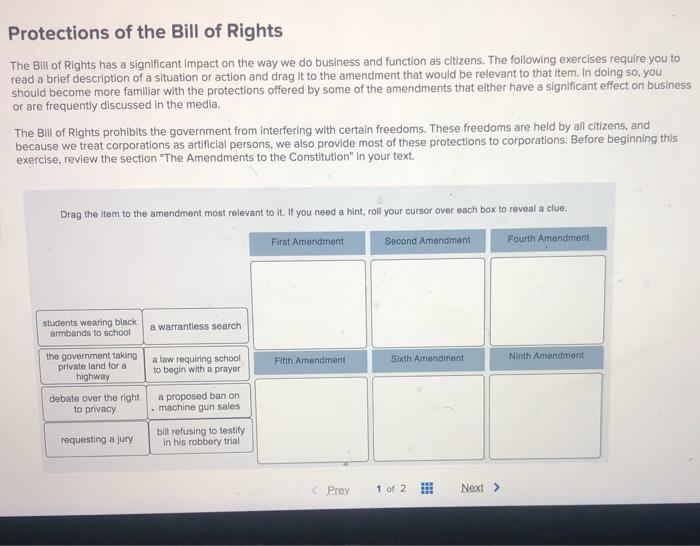 Solved Protections Of The Bill Of Rights The Bill Of Rights | Chegg.com