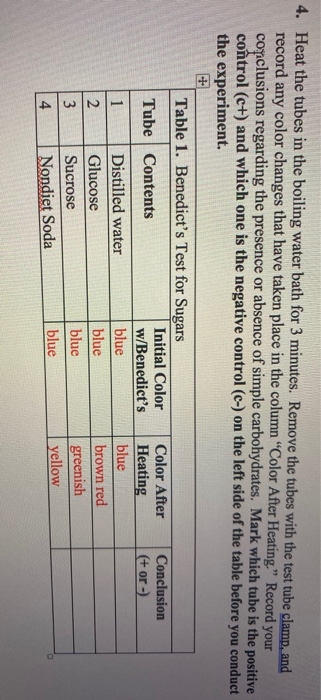 MACROMOLECULE TESTING LAB ANSWER KEY