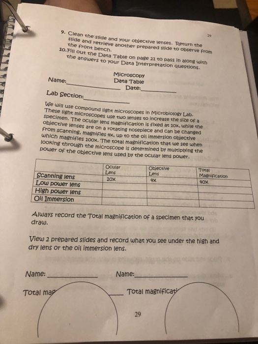 Solved microscopyData tableLab report on the microscope data