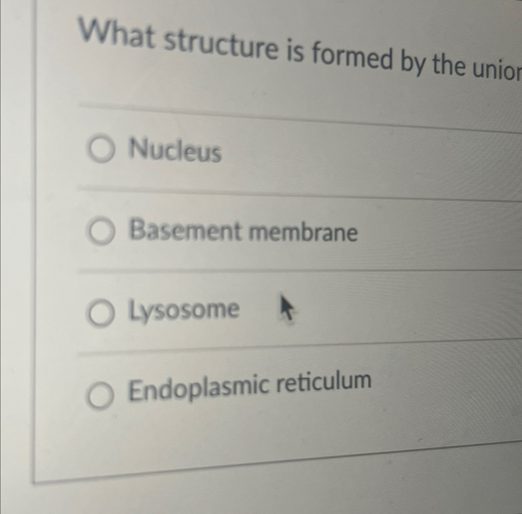 Solved What structure is formed by the unior | Chegg.com