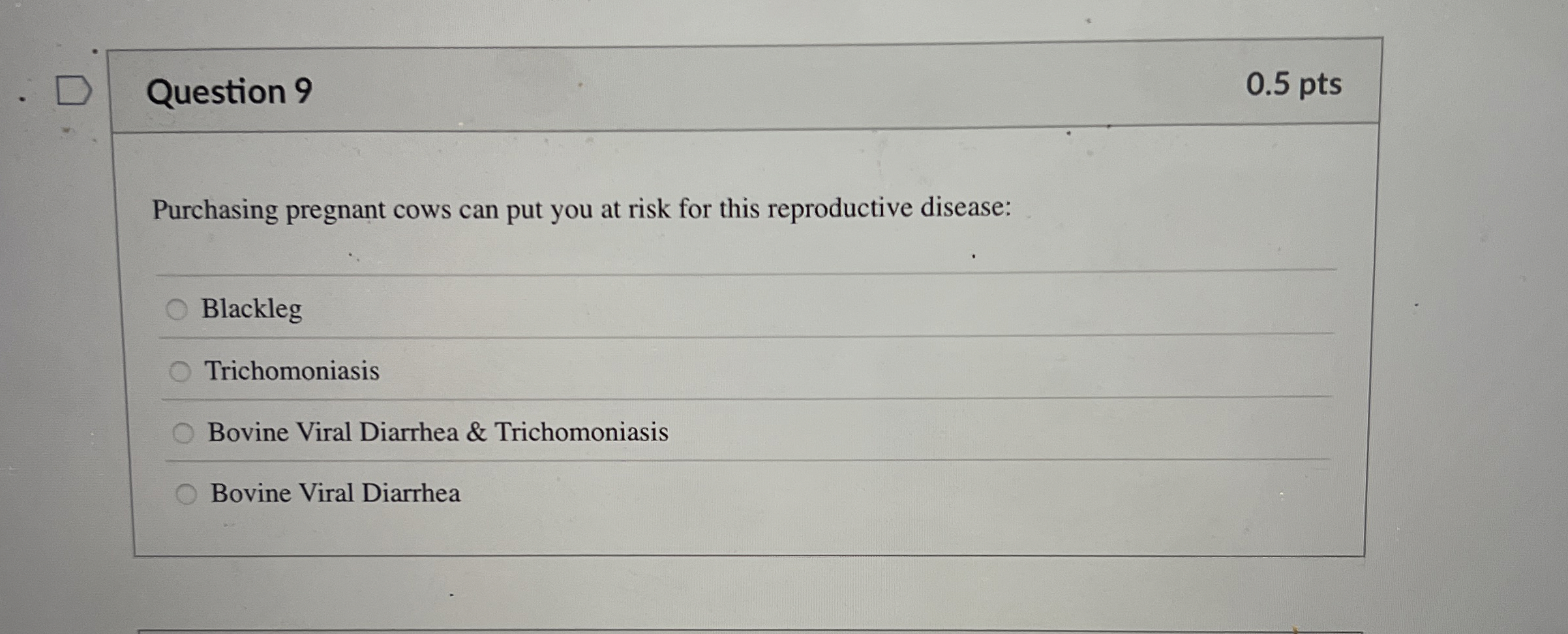 Solved Question 9Purchasing pregnant cows can put you at