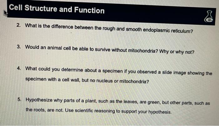 Solved Cell Structure and Function PRE-LAB QUESTIONS 1. | Chegg.com