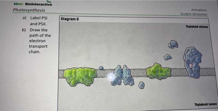 Solved 2. On Diagram 5, fill in the labels with the | Chegg.com