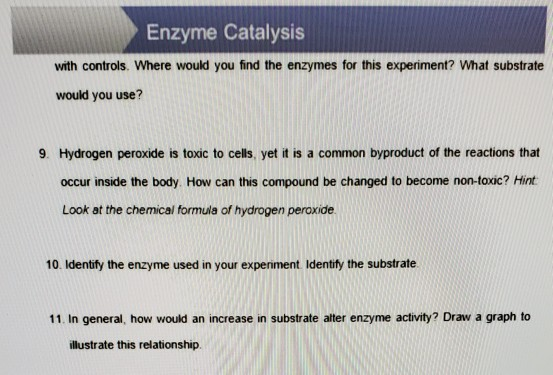 Solved Enzyme Catalysis with controls. Where would you find | Chegg.com