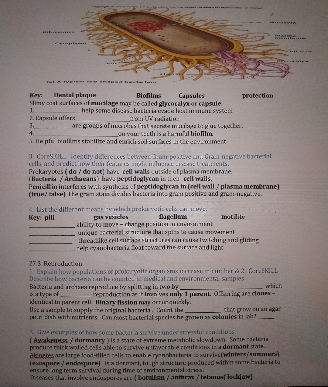 Key Dental plaqueBiofilmsCapsulesprotectionSlimy