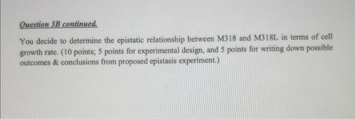 skinny genes case study answers