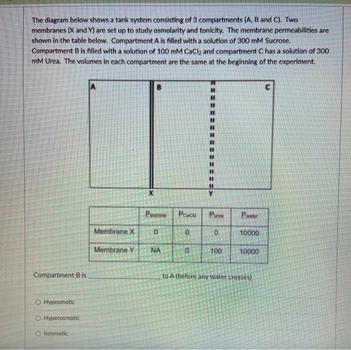 Solved The diagram below shows a tank system consisting of 3 | Chegg.com