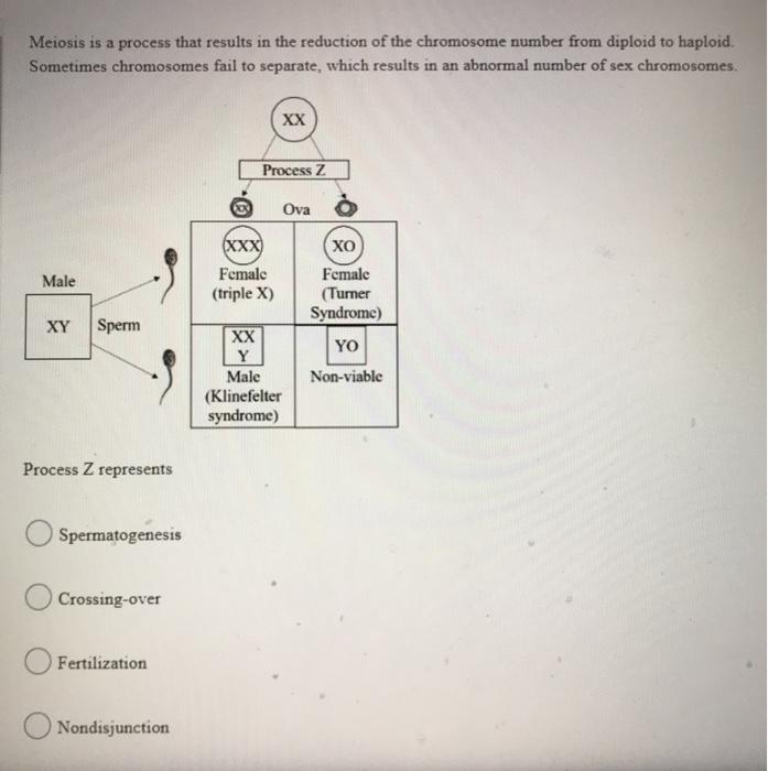 Solved Meiosis is a process that results in the reduction of | Chegg.com