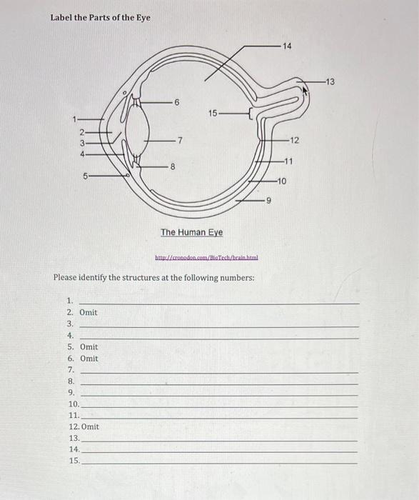 Solved Label the Parts of the Eye | Chegg.com