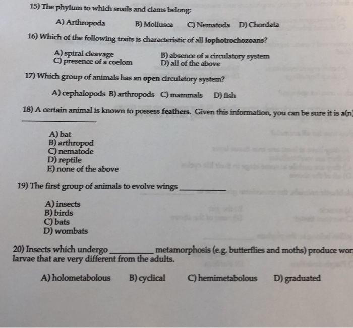 Solved 15) The phylum to which snails and clams belong A)