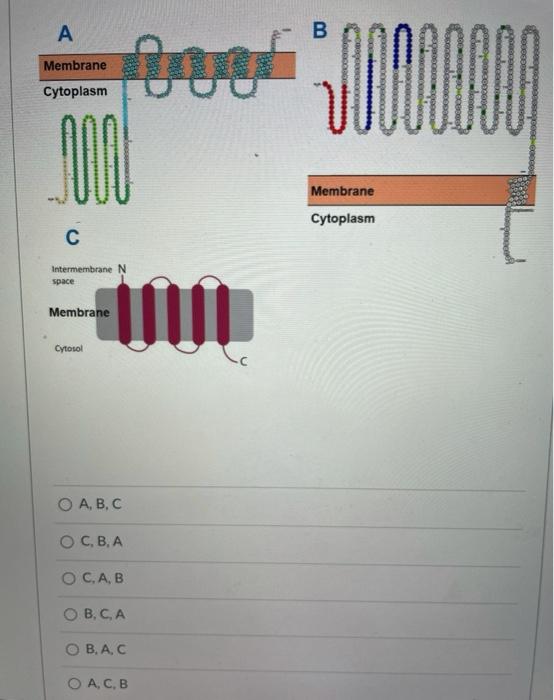 You have been presented with the snake plot | Chegg.com
