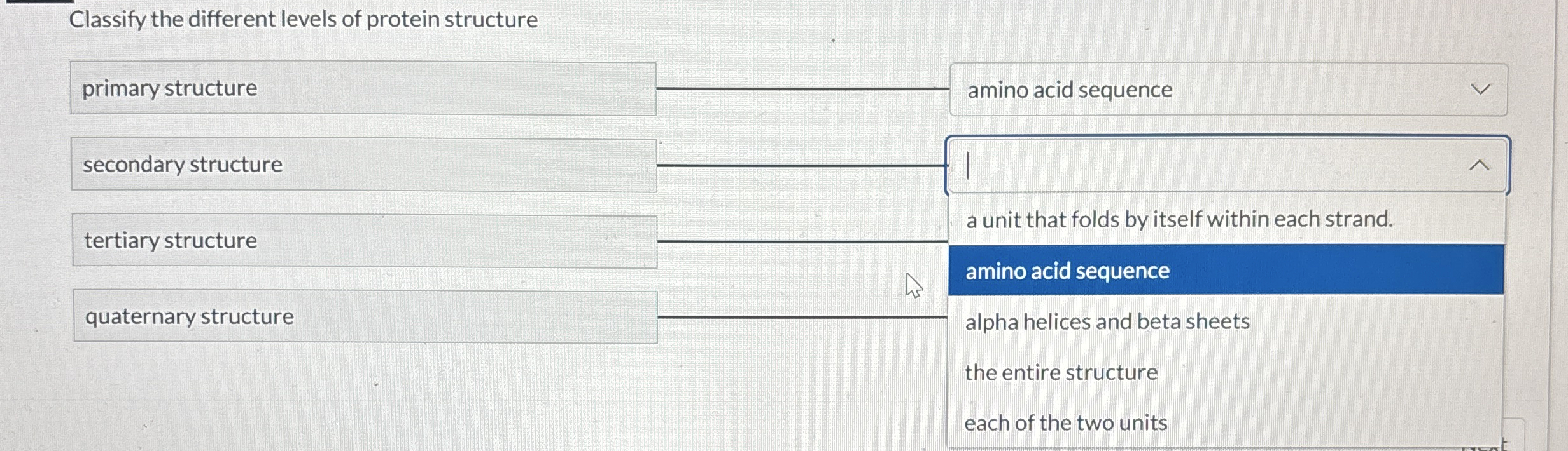 Solved Classify The Different Levels Of Protein Structure