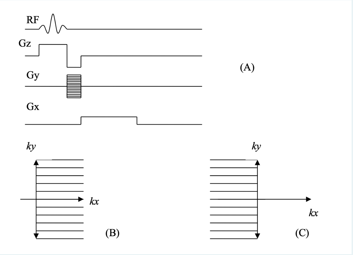 Solved For the excitation sequence shown in (A), ﻿the FID | Chegg.com