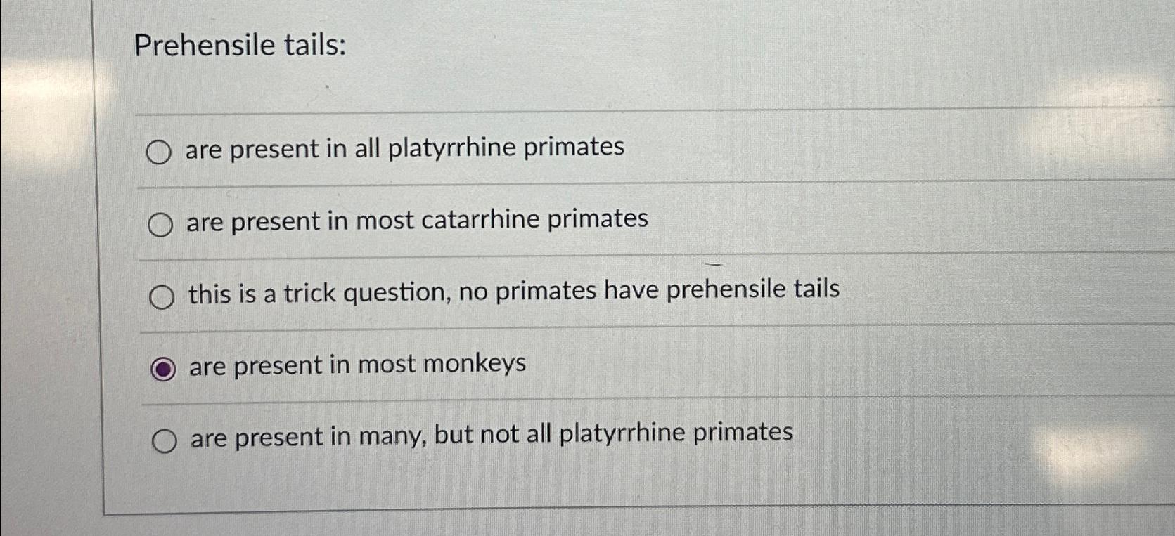 Solved Prehensile tails:are present in all platyrrhine | Chegg.com