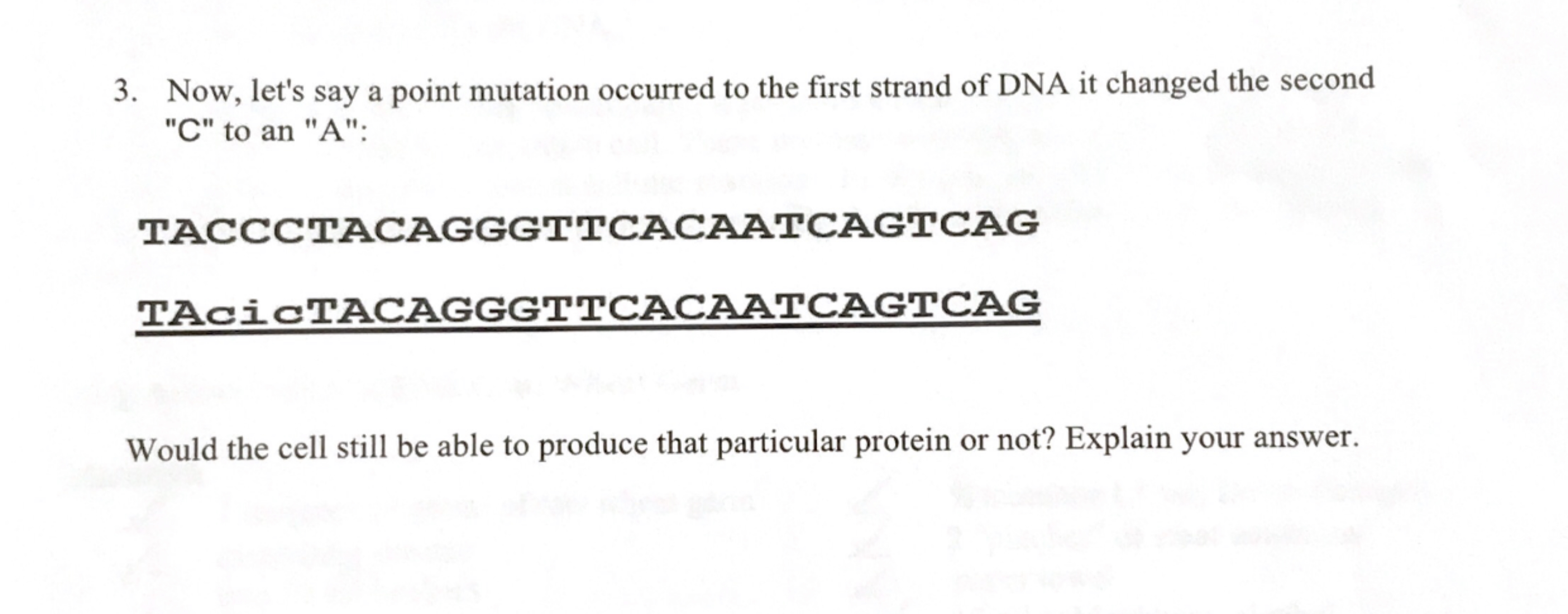 Solved Now, let's say a point mutation occurred to the first | Chegg.com