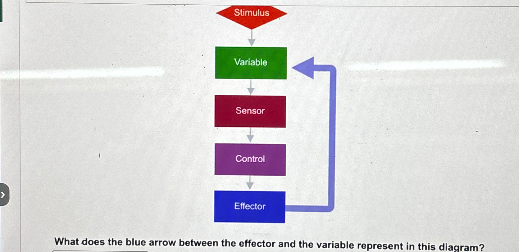 Solved What does the blue arrow between the effector and the | Chegg.com