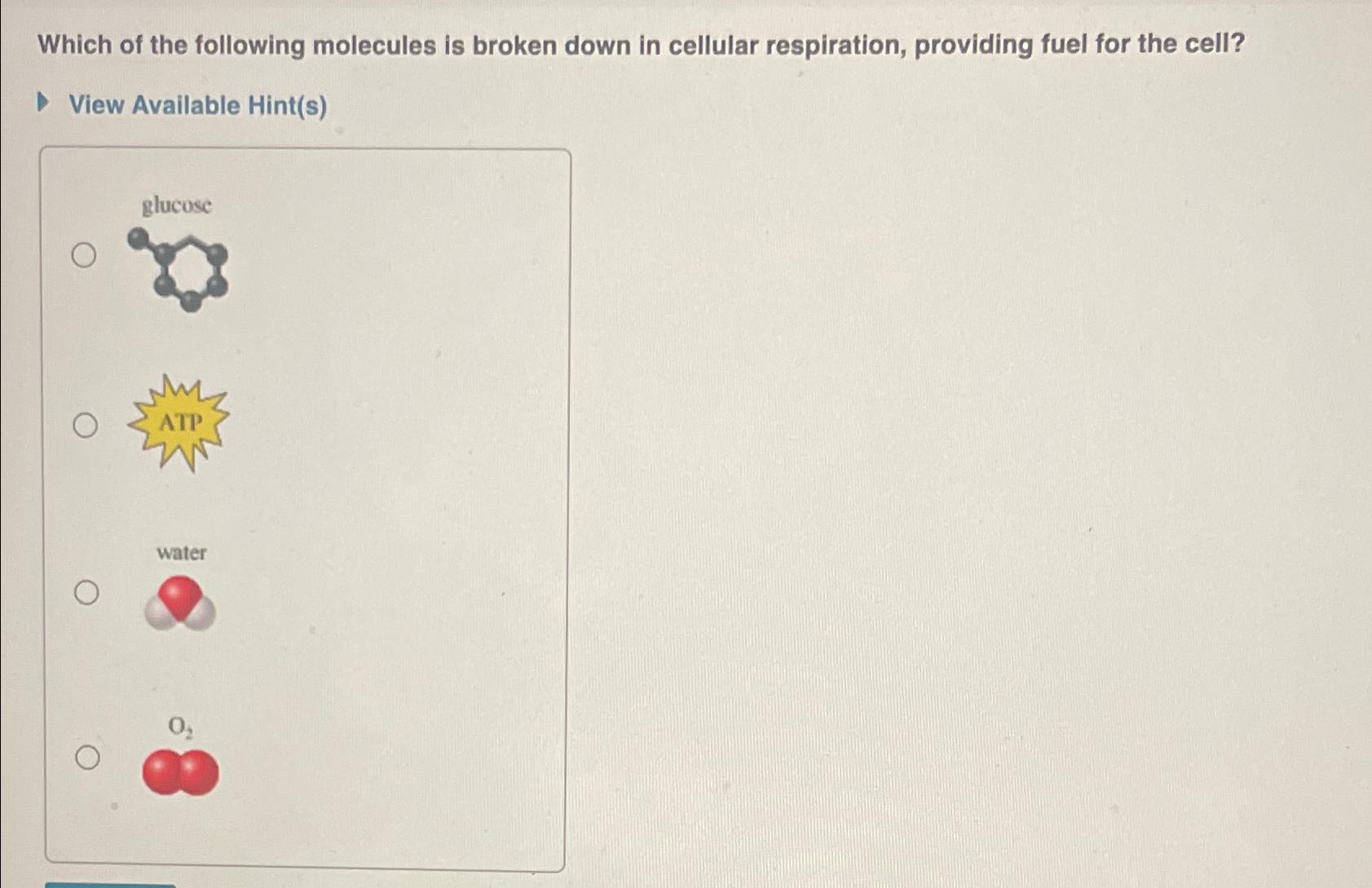 Solved Which of the following molecules is broken down in | Chegg.com