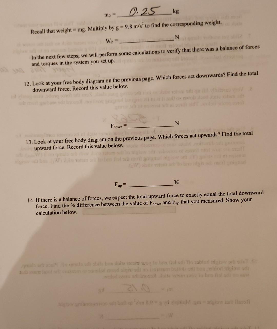 Solved 1. Check the calibration of the force probe. Hang the | Chegg.com