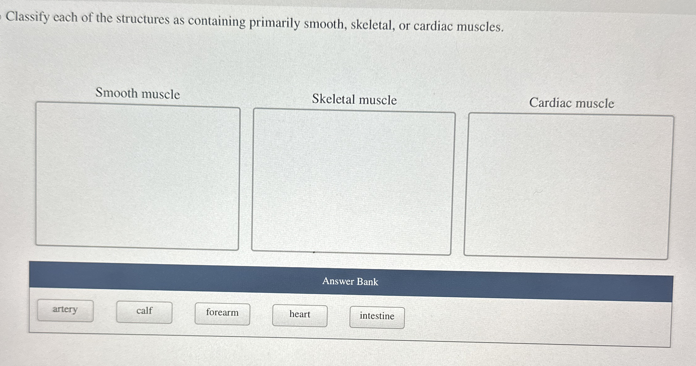Solved Classify each of the structures as containing | Chegg.com