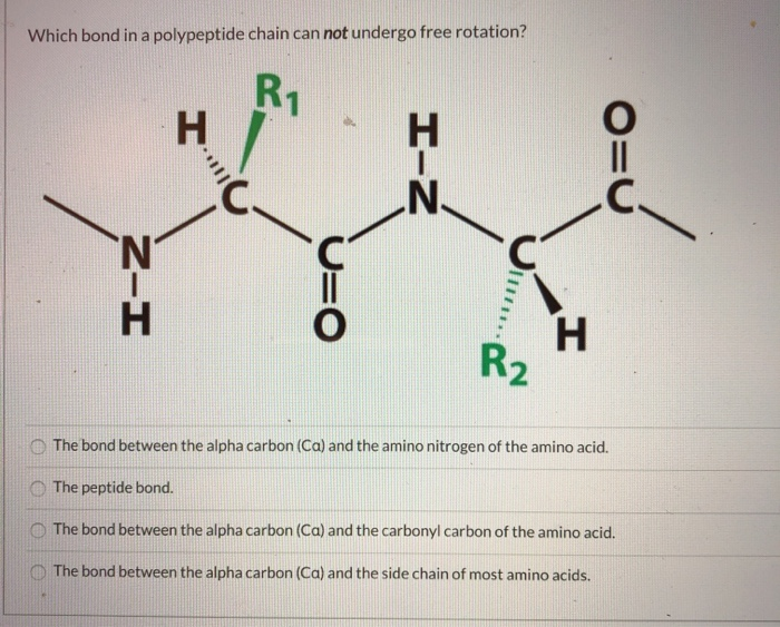 Полипептиды с азотной кислотой дают фиолетовое окрашивание. Амино нитроген. Полипептид ил-15. Протеин и полипептиды пример. Треугольник полипептид.