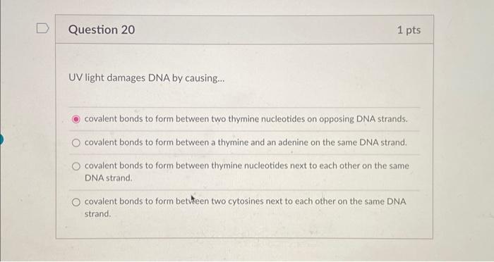 Solved UV light damages DNA by causing... covalent bonds to | Chegg.com
