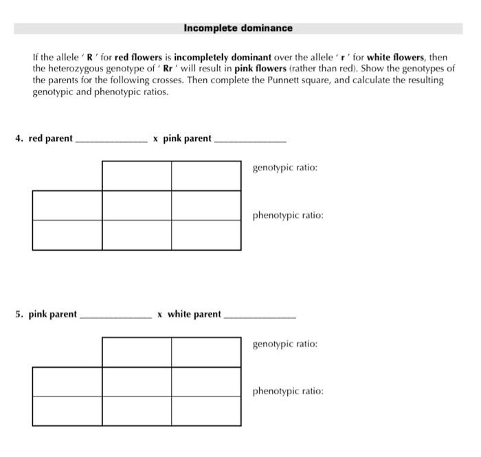 Solved Incomplete dominance If the allele'R' for red flowers | Chegg.com
