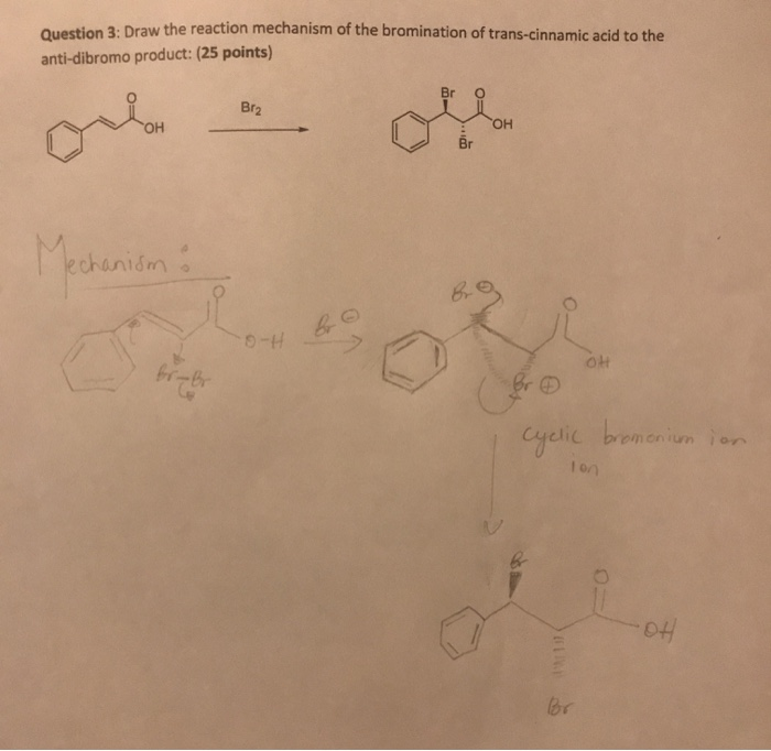 Solved Bromination of transcinnamic acid Bro I Br2 OH