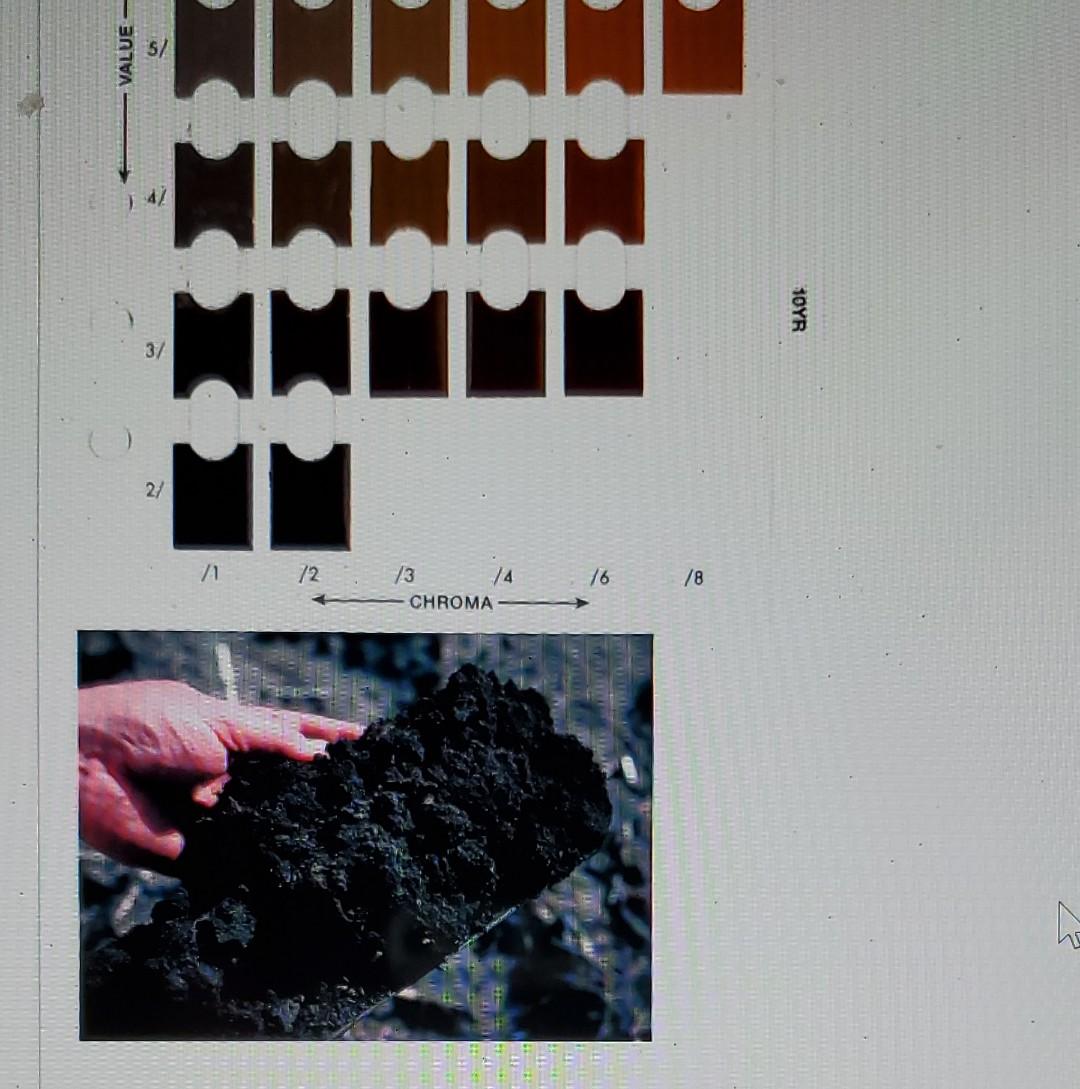 munsell color chart 10yr