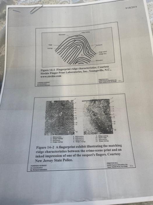 Figure 14-1 Fingerprint ridge characteristics. Cum. | Chegg.com