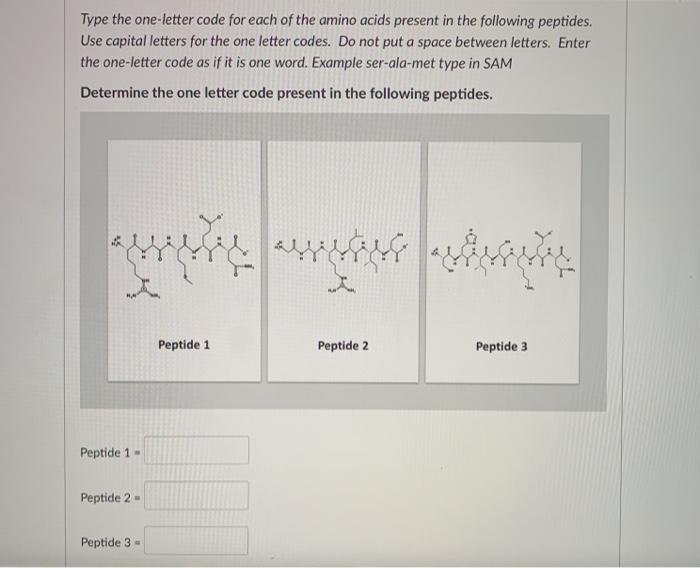 Solved Type the one-letter code for each of the amino acids | Chegg.com