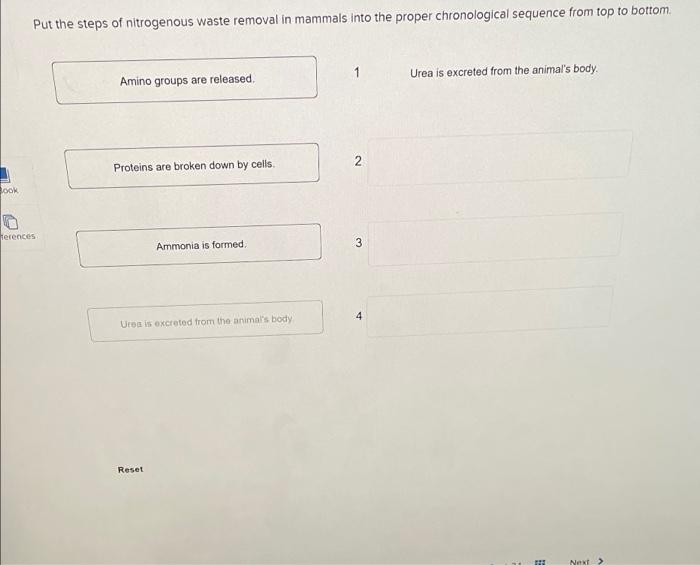 Solved Put the steps of nitrogenous waste removal in mammals | Chegg.com