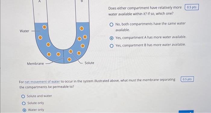 Solved Does either compartment have relatively more water | Chegg.com