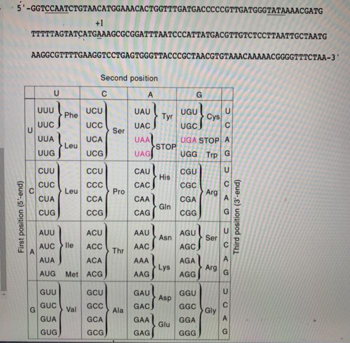 Solved Question 9 (1 point) What is the amino acid sequence