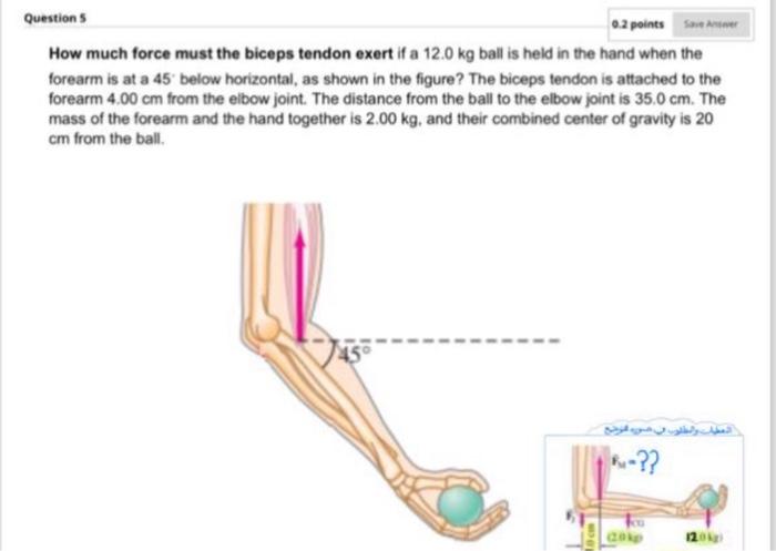 Solved 0.2 points Save Answer Question 5 How much force must | Chegg.com