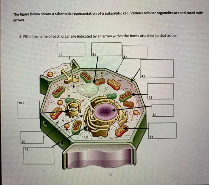 Solved The Figure Below Shows A Schematic Representation Of | Chegg.com