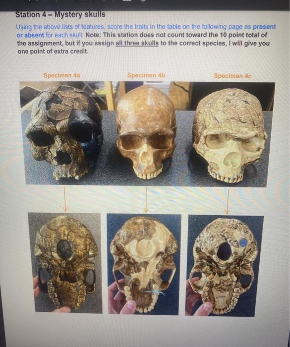 List of Skull and Bones members - Wikipedia