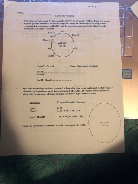 Restriction Mapg Below Is A Restriction Map For Chegg 