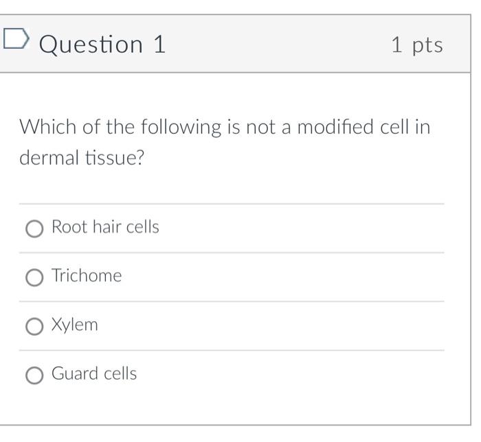 Solved Which of the following is not a modified cell in | Chegg.com