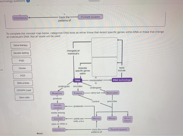 Solved Technology questions Inheritance Punnett squares - | Chegg.com