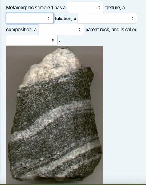 Solved Metamorphic sample 1 has a • texture, a . foliation, | Chegg.com