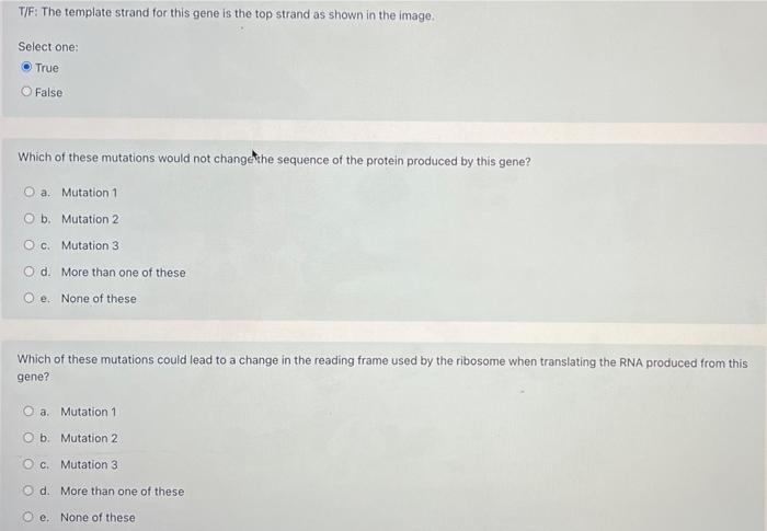 T/F: The template strand for this gene is the top strand as shown in the image.
Select one:
True
O False
Which of these mutat