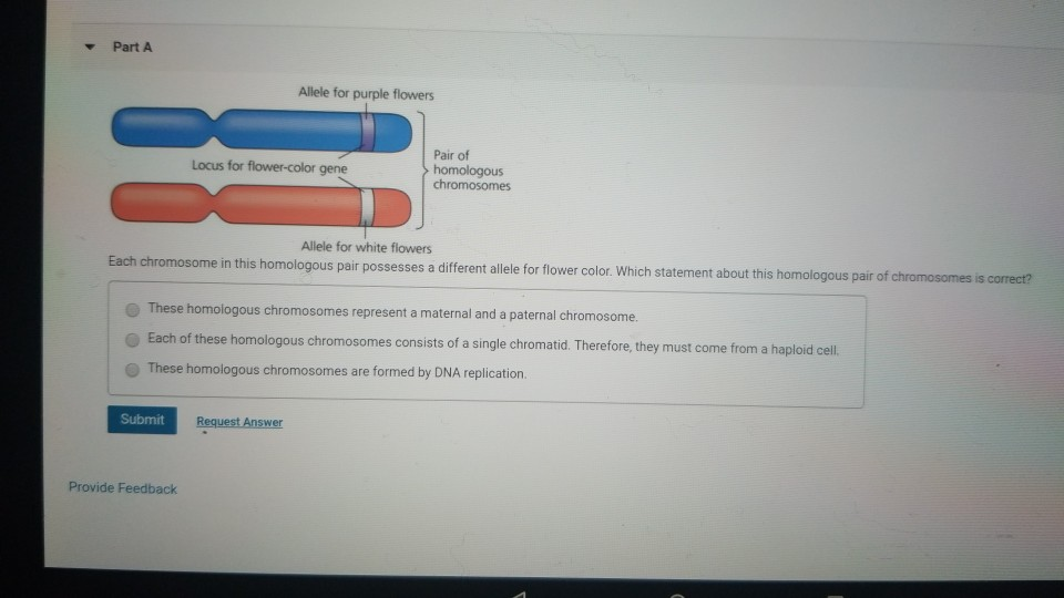 solved-part-a-allele-for-purple-flowers-locus-for-chegg