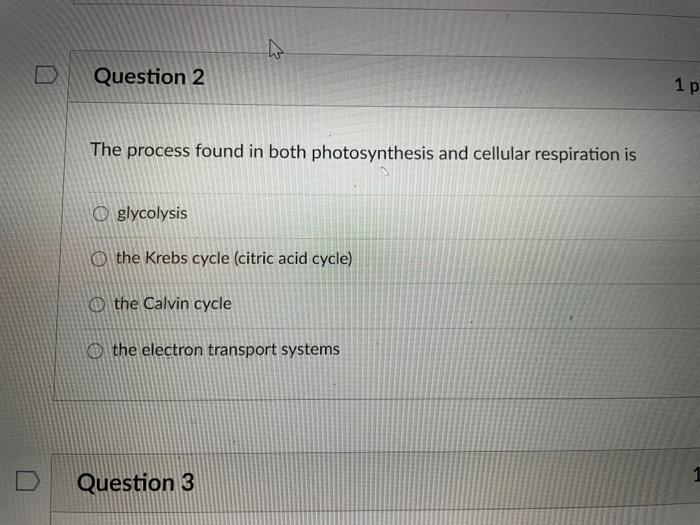 Solved Question 2 Question 1 The process found in both | Chegg.com