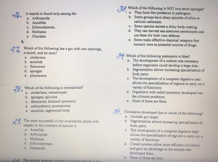 Solved SA Poriferans are a. herbivores. b. filter feeders.