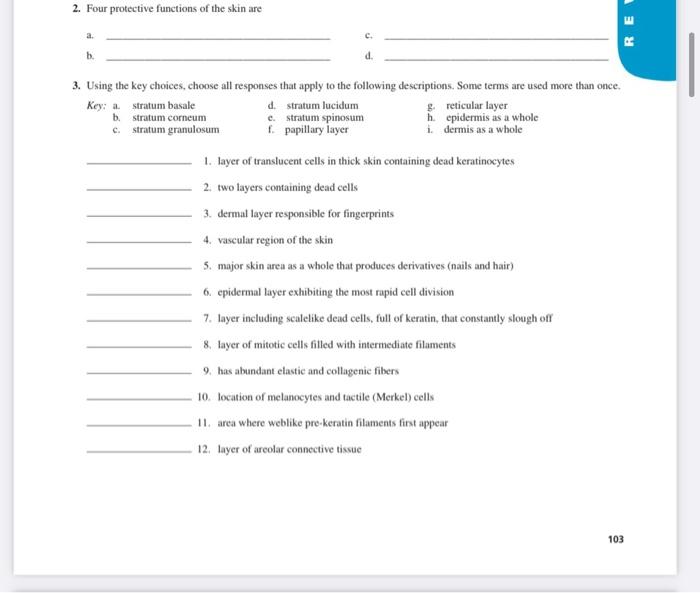 Solved 2. Four protective functions of the skin are RE C. b. | Chegg.com