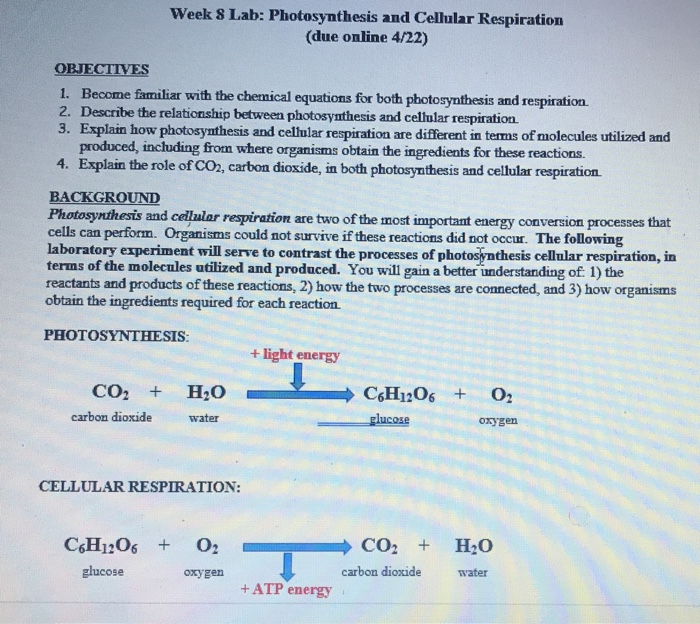 formidable-write-the-chemical-equations-of-photosynthesis-and