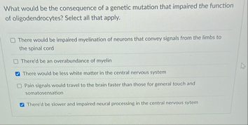 Solved What would be the consequence of a genetic mutation | Chegg.com